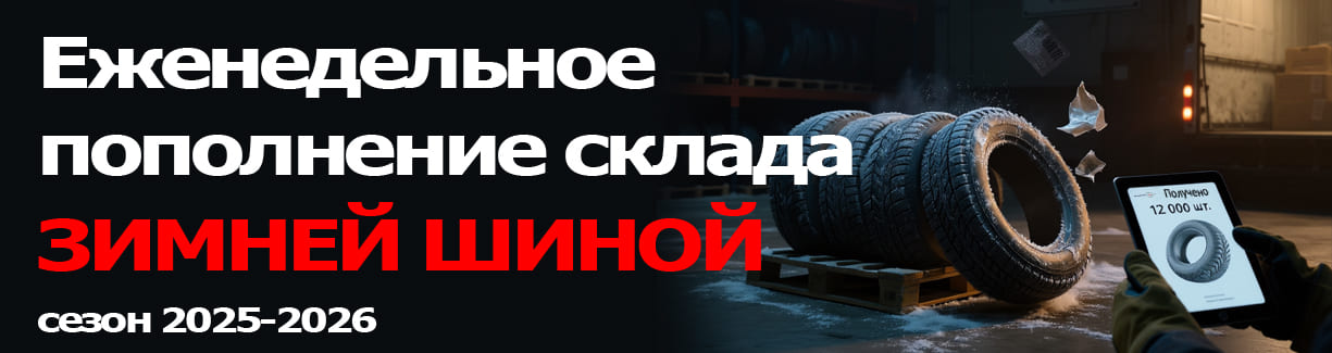 Зимняя шина 2025 2026