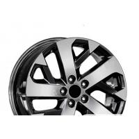 RPLC Ki81 ET49.5 67.1 BFP