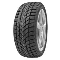 225/55/16 99V Delinte Winter WD6