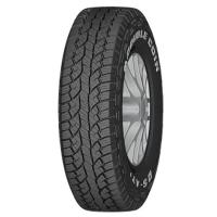 245/70/16 107T DOUBLECOIN DS-AT+