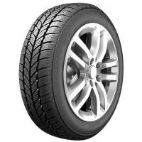 205/45/16 87H ROADX RXFrost WH01